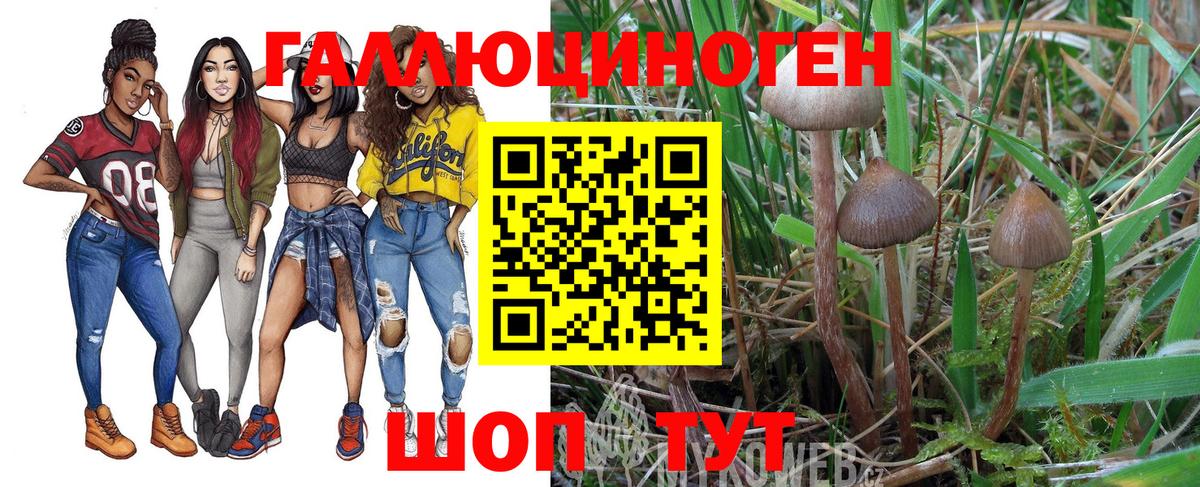 Артёмовский  где можно купить наркотик  Вход с VPN  Псилоцибиновые грибы Magic Shrooms 